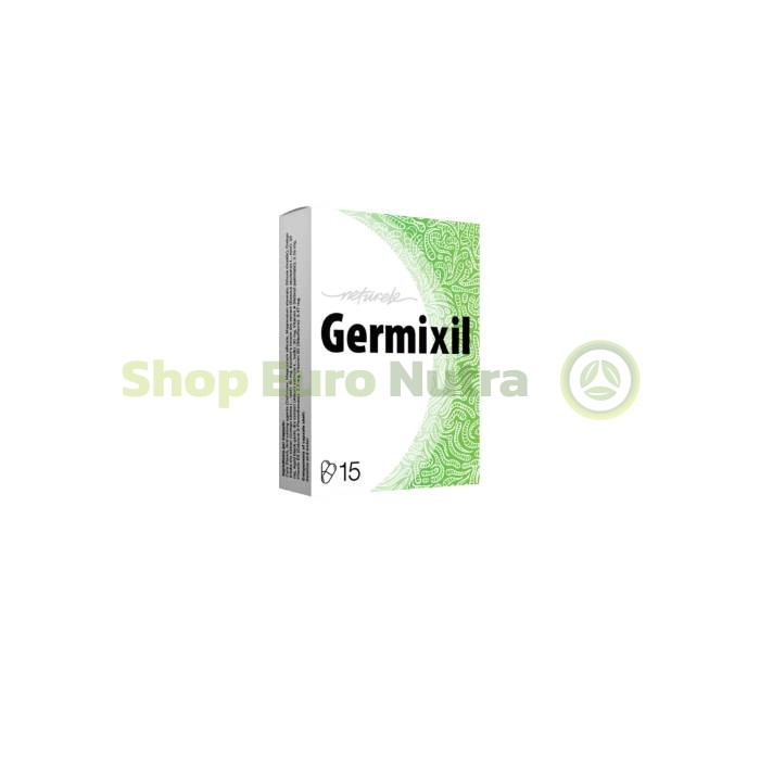 Germixil nach Schwerin