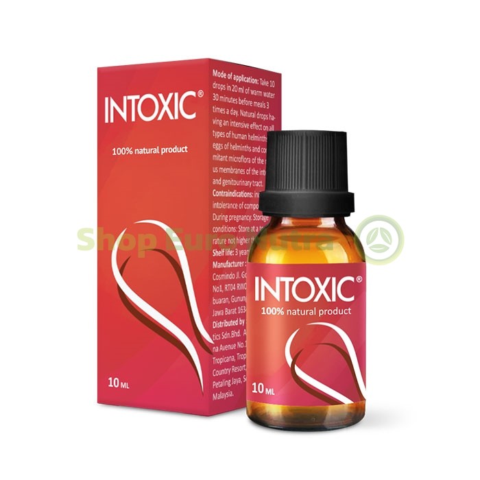 Intoxic საჩხერეში