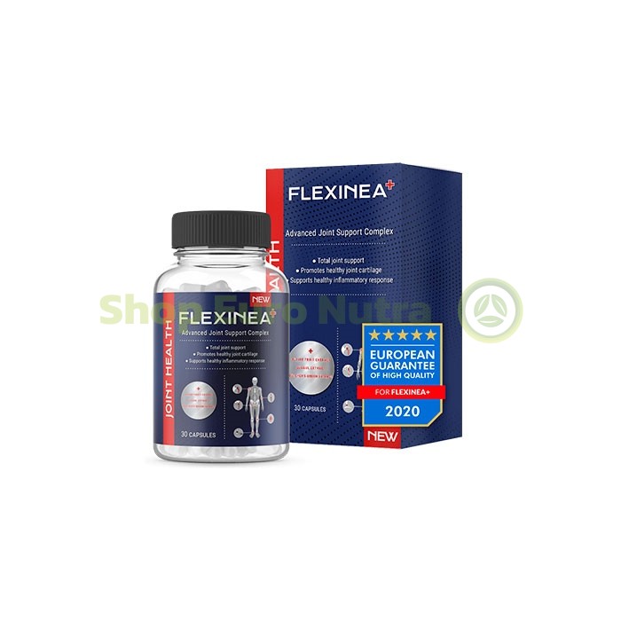 Flexinea